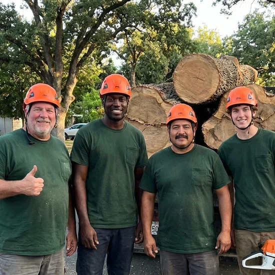 Greenline tree crew with a truck loaded with oak logs in La Jolla